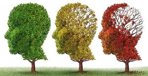 Link tussen slaapstoornissen en ziekte van Alzheimer