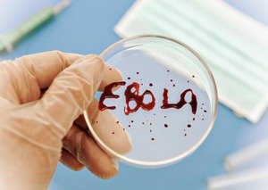 Hoge Gezondheidsraad publiceert draaiboek ebola