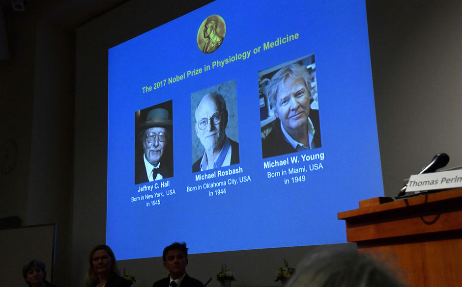 Circadiaans ritme levert Nobelprijs Geneeskunde op