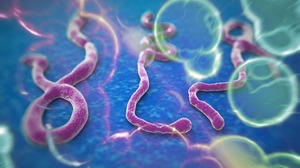 Ebola kost tweede arts het leven in West-Afrika