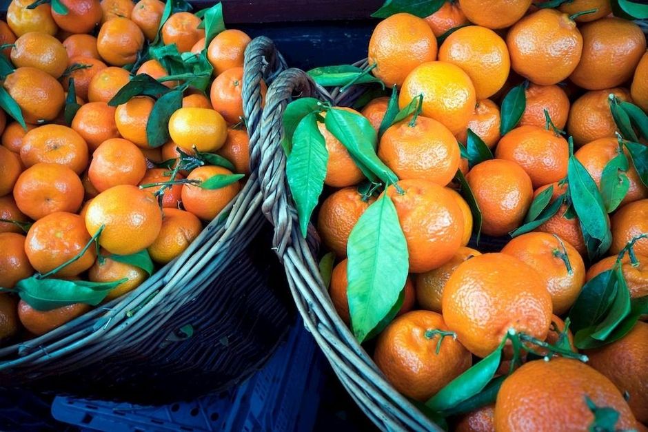 Appelsienen goed tegen leeftijdsgebonden maculadegeneratie