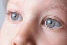 Behandeling van congenitaal cataract met stamcellen