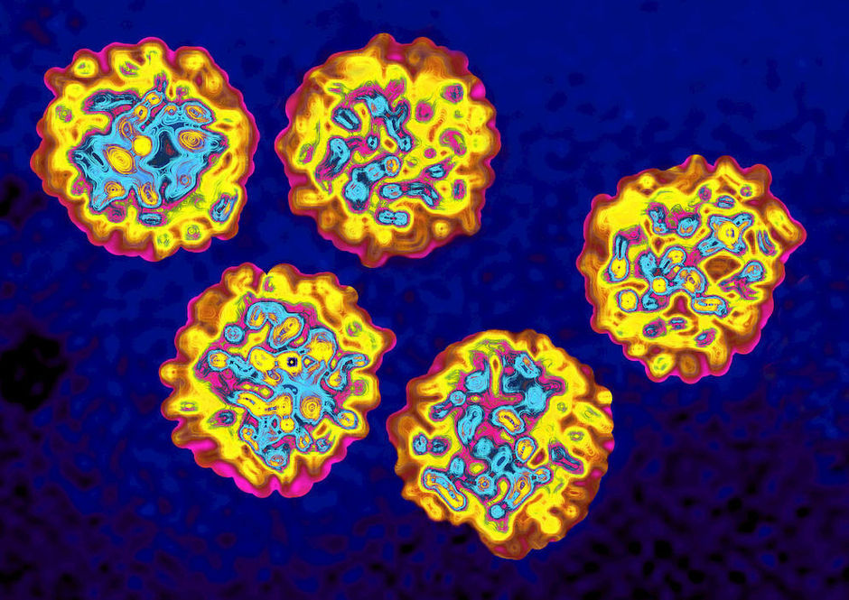 Hepatitis C-behandelingen wegen ook op geneesmiddelenbudget