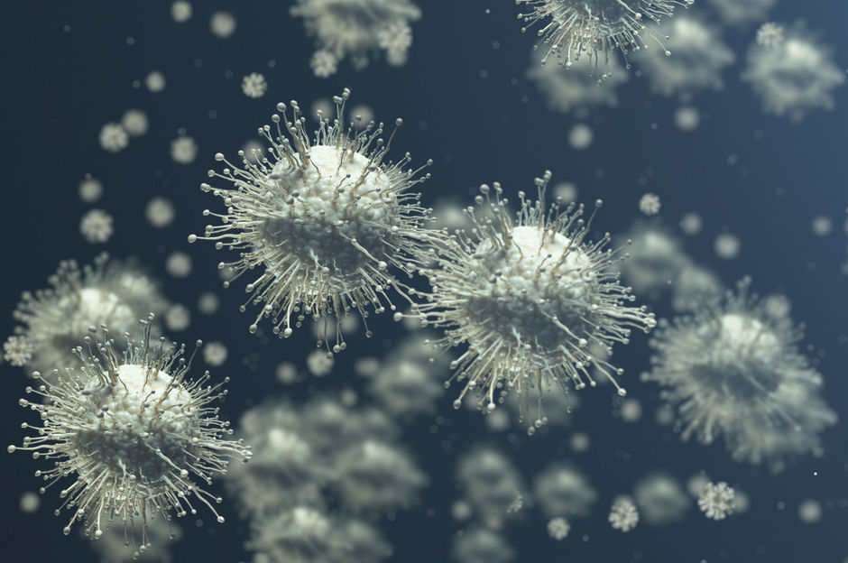 Sciensano verklaart griepepidemie officieel