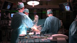 Leverparenchym vrijwaren bij leverchirurgie wegens kanker