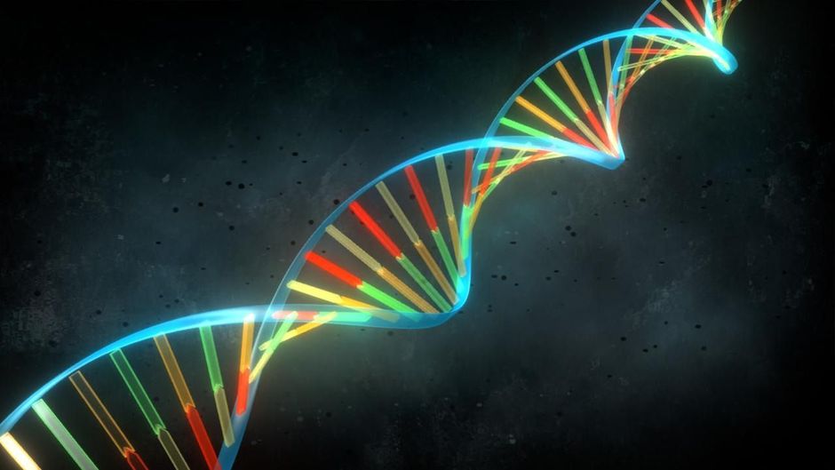 CRISPR-Cas9: groen licht voor eerste studie bij mens in VS
